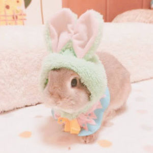 Meet your Posher, Marcela